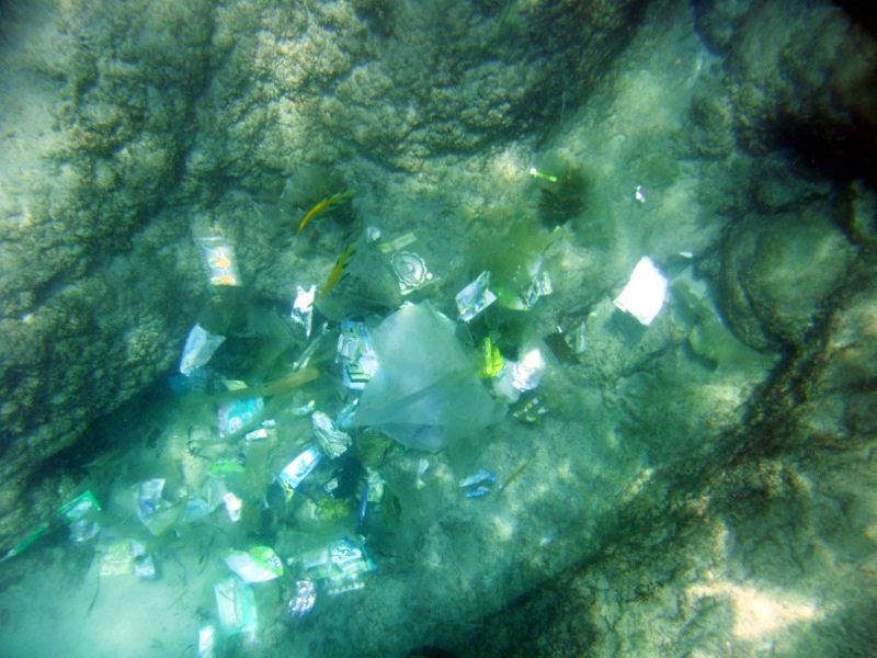 Müll im Meer