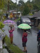 Balinesinnen im Regen